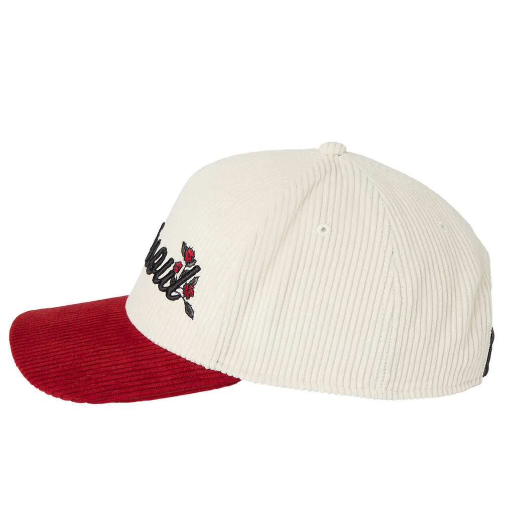 Cap with white brim and red bill on a white background